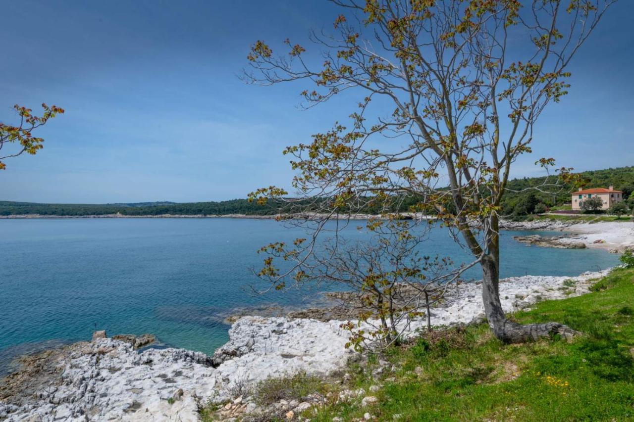 Apartman Lidija Koromacno Bagian luar foto